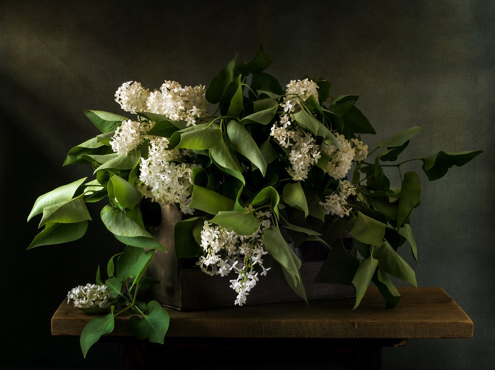 Bouquet « Moody Lilac » - Olga Aleksandrovna