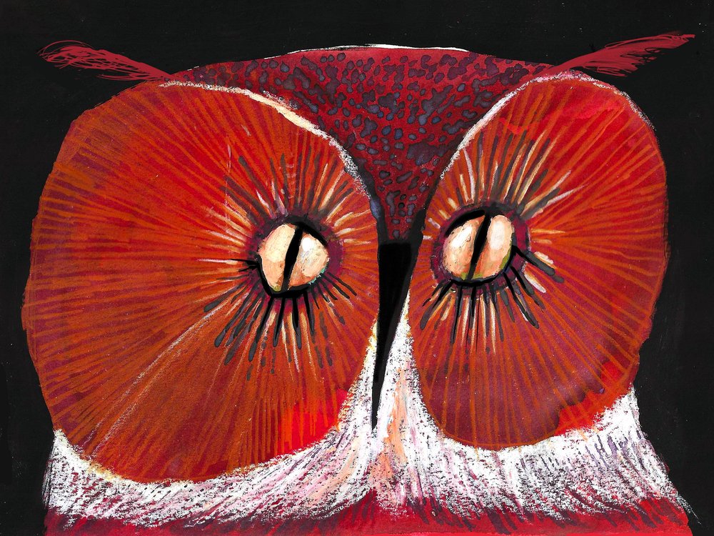 Chouette rouge intense - Olga Skomorokhova