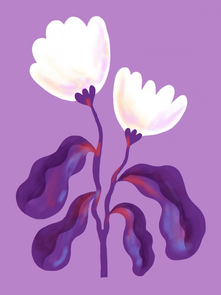 Fleurs de lavande modernes - Olga Skomorokhova