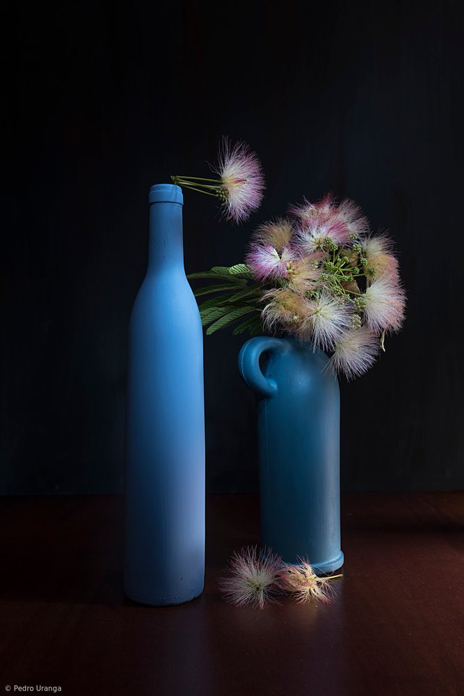 Bleus et roses botaniques - Pedro Uranga