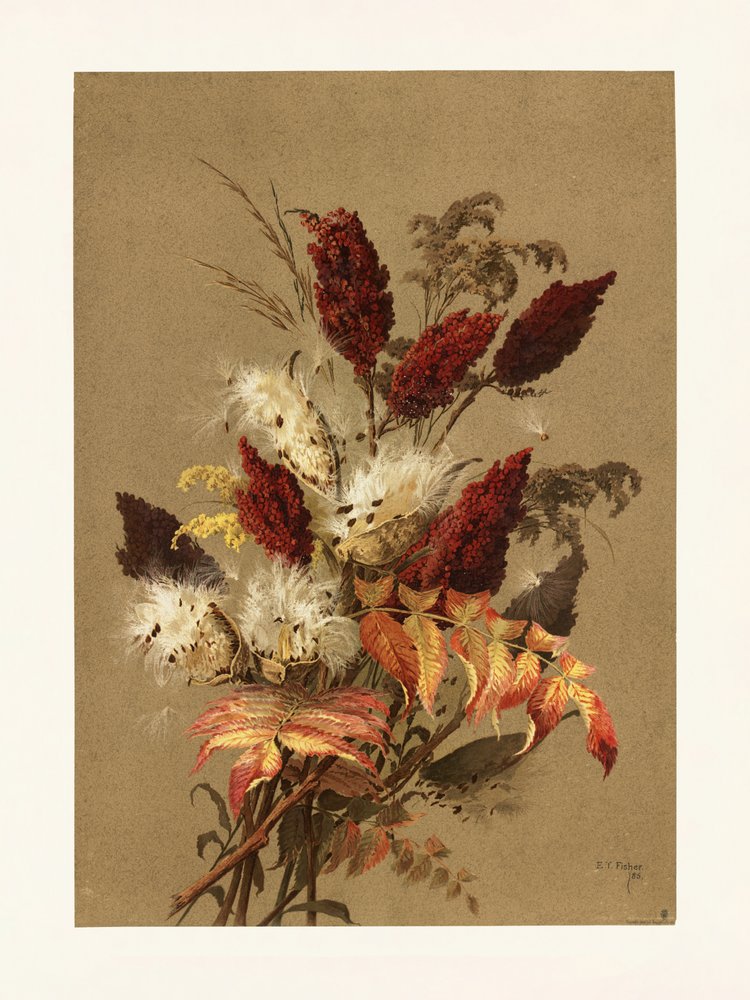Le sumac et l
