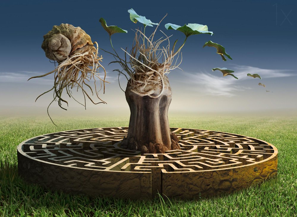 Le labyrinthe onirique - Radoslav Penchev