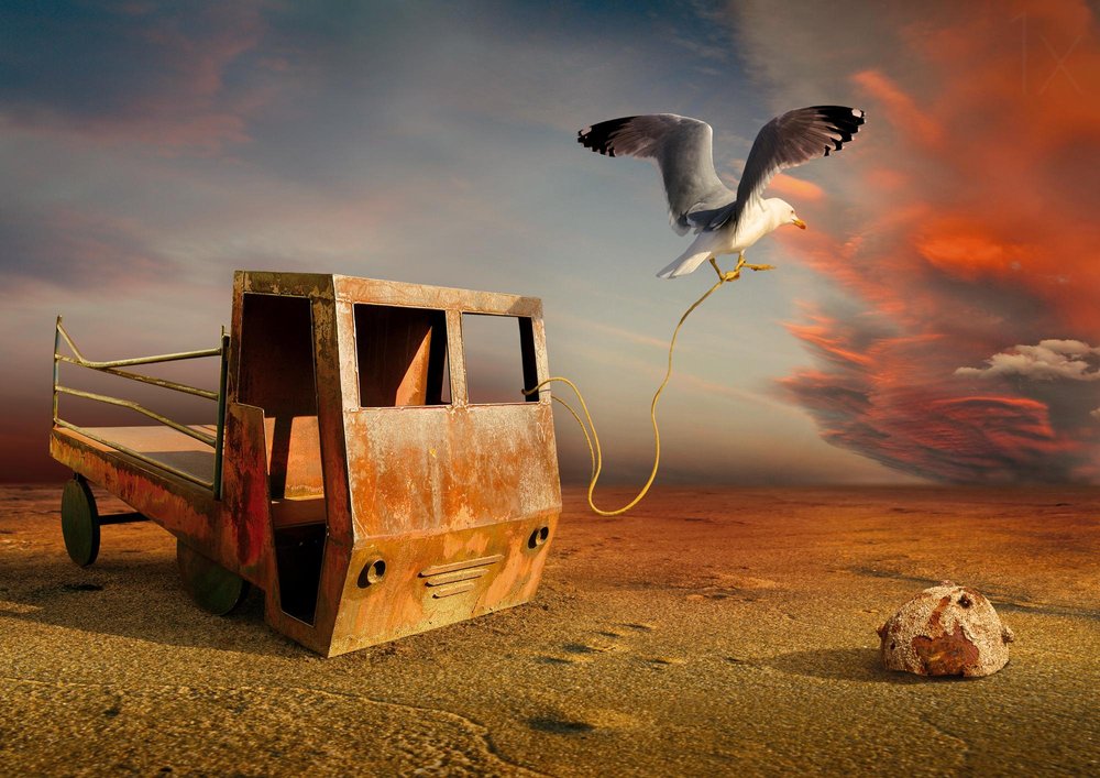 Une mouette tirant un camion rouillé - Radoslav Penchev