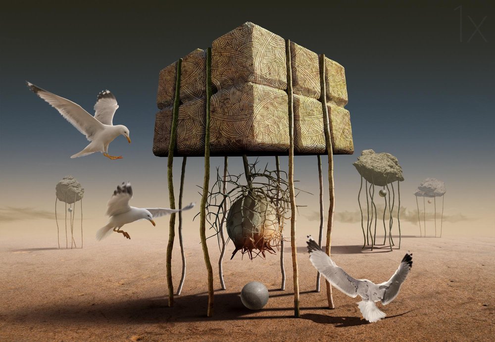 Des mouettes au-dessus des constructions du désert - Radoslav Penchev