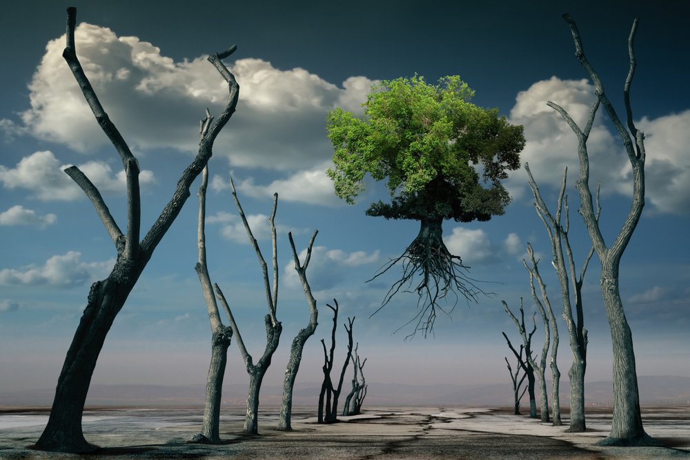  - Radoslav Penchev