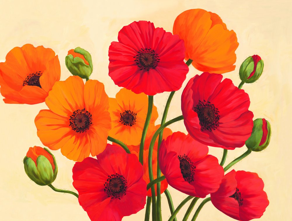 Coquelicots rouge-orange - Renate Holzner