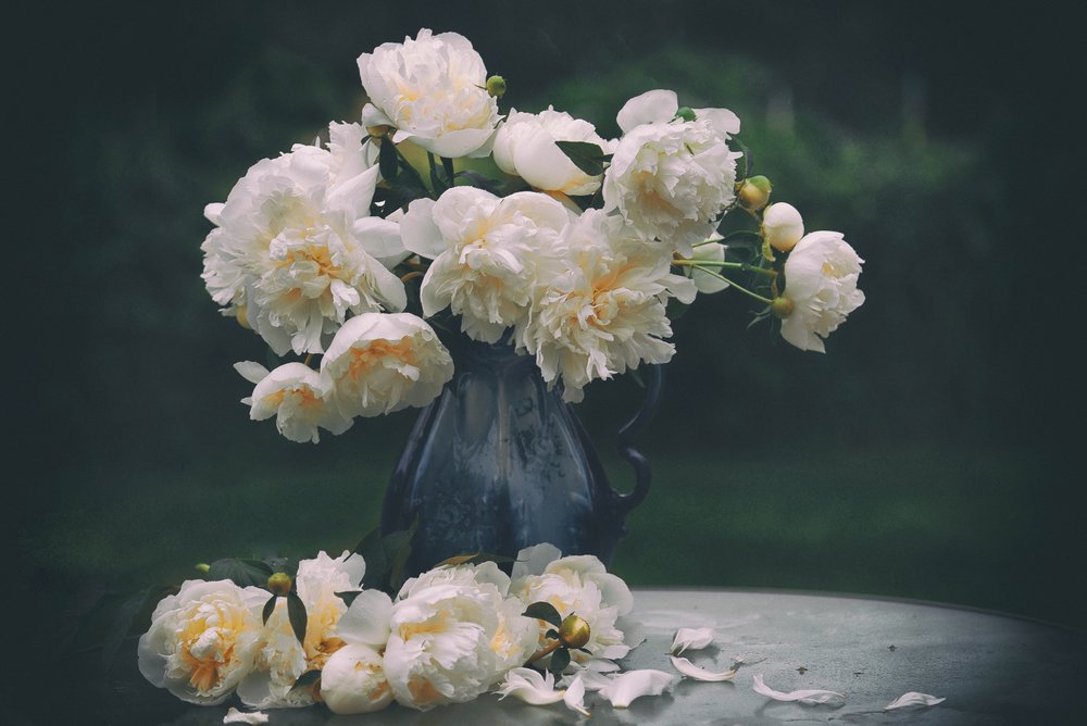 Nature morte aux pivoines blanches - Rob Li