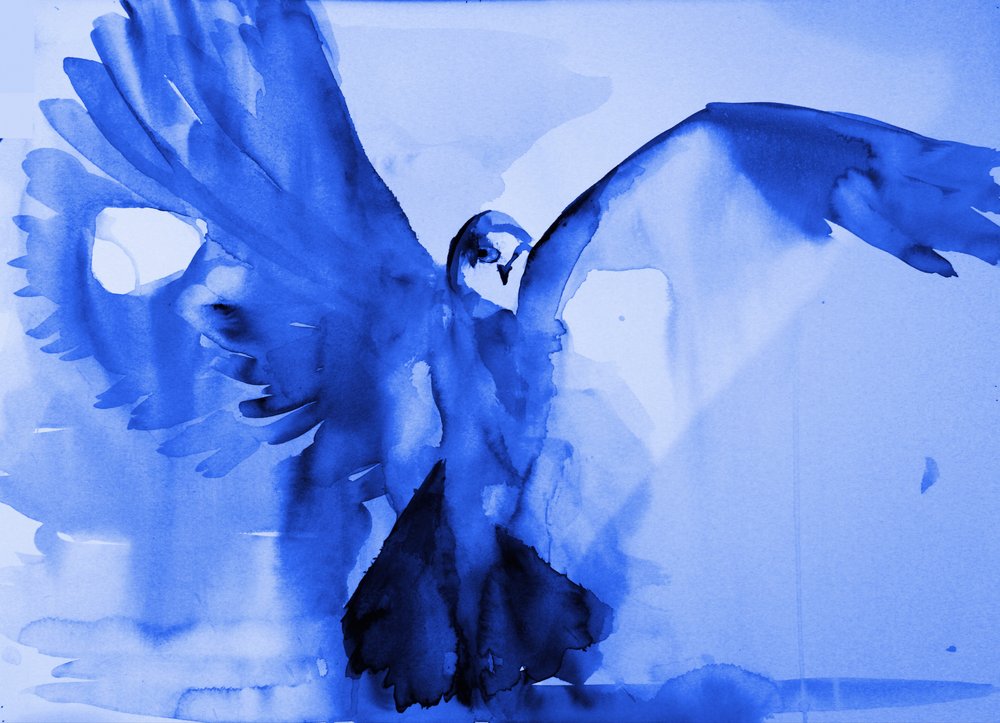 Le vol de la colombe bleue - RodMacIver