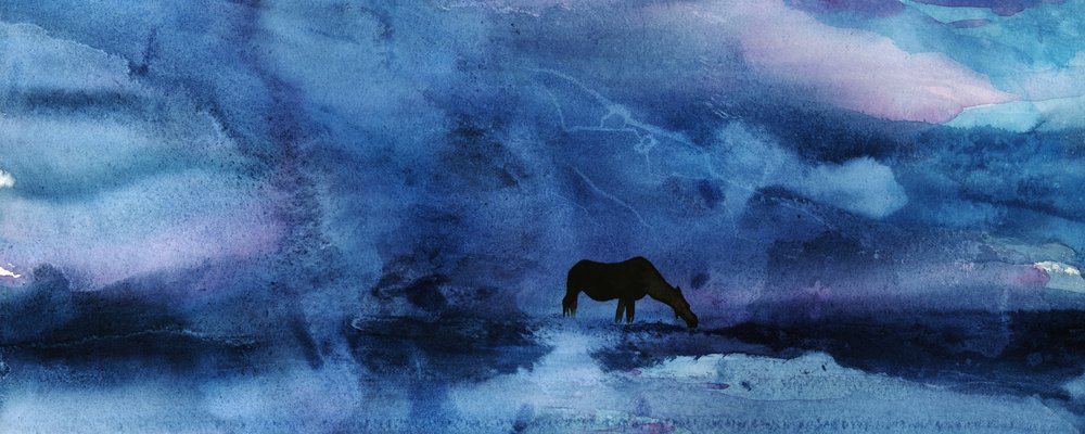 Cheval bleu au crépuscule - RodMacIver