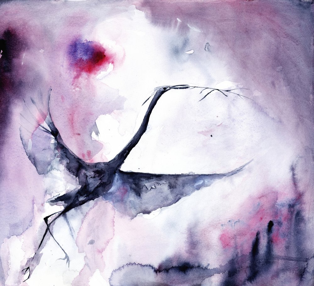 Le vol enchanteur des oiseaux - RodMacIver