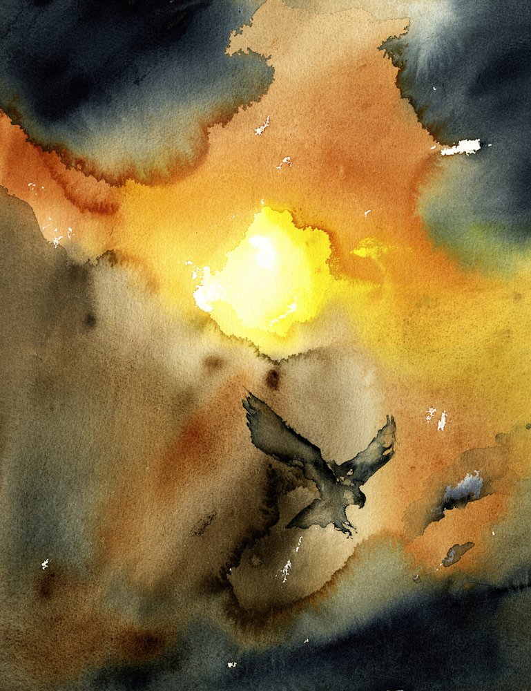Un aigle planant au coucher du soleil - RodMacIver