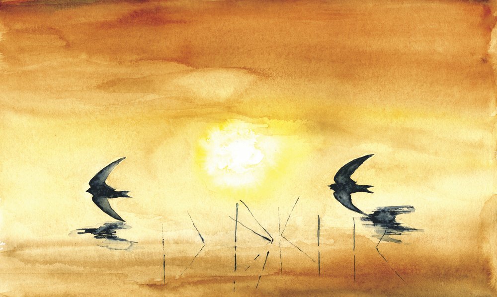 Les oiseaux de l