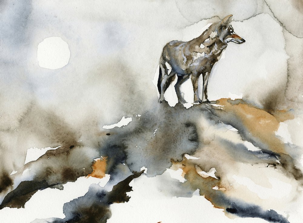 La Lune du Loup solitaire - RodMacIver