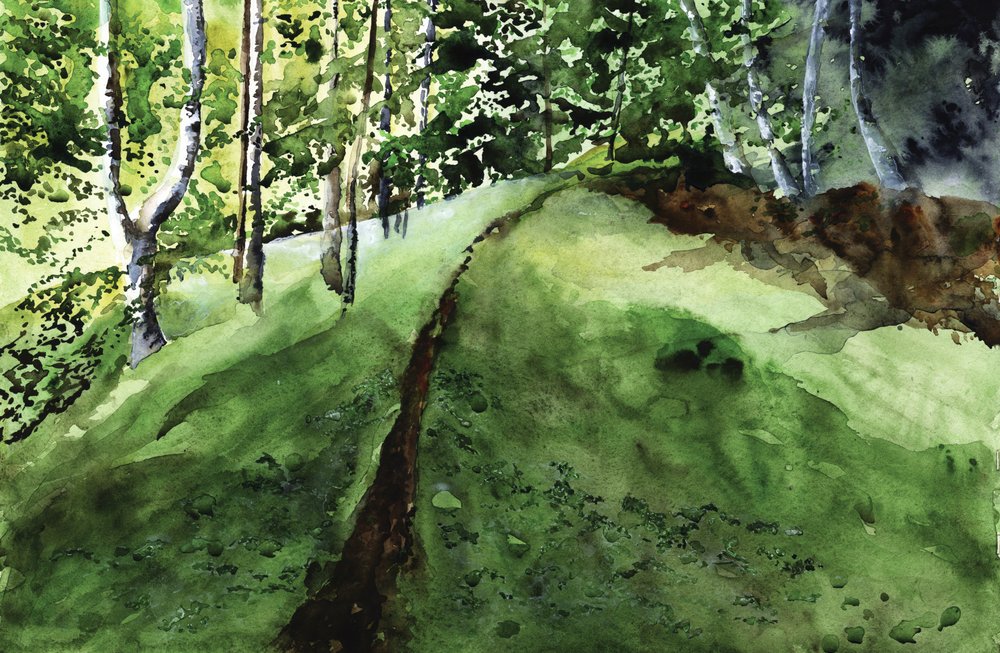 Sentier à travers la forêt luxuriante - RodMacIver