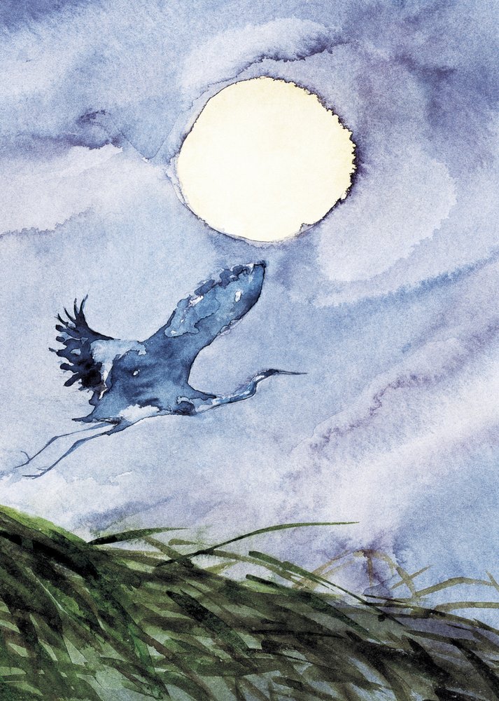 Vol de hérons au clair de lune - RodMacIver