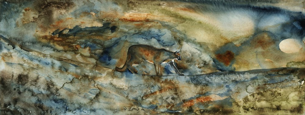 Le passage du puma - RodMacIver