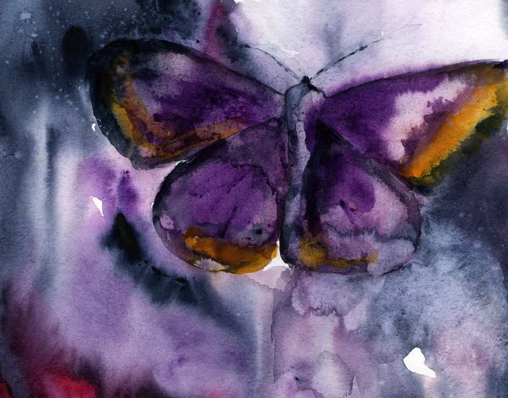 Le rêve du papillon violet - RodMacIver
