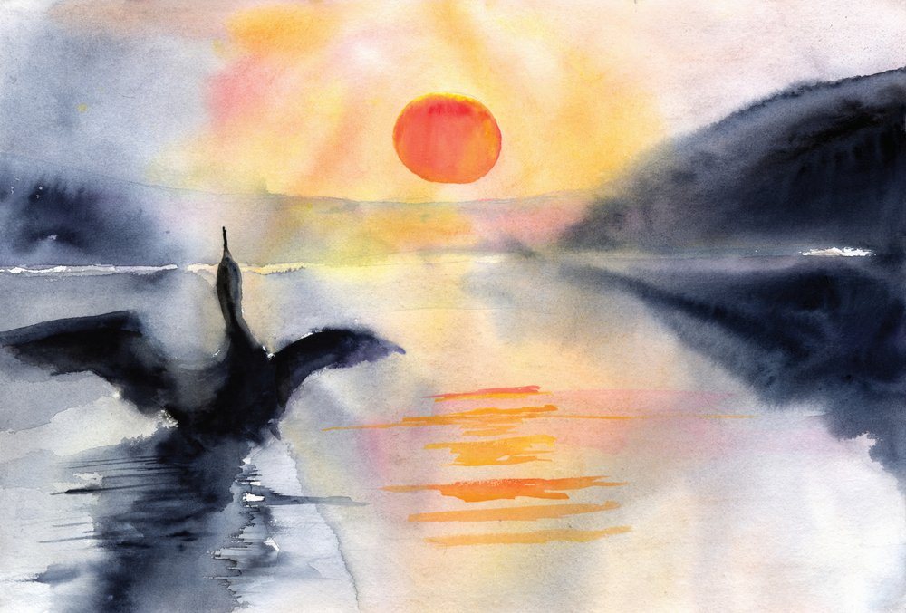 Oiseau du lac serein - RodMacIver