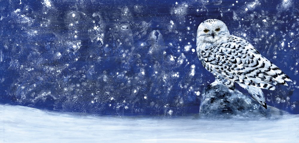 Soirée enneigée 60 x 28 - RodMacIver