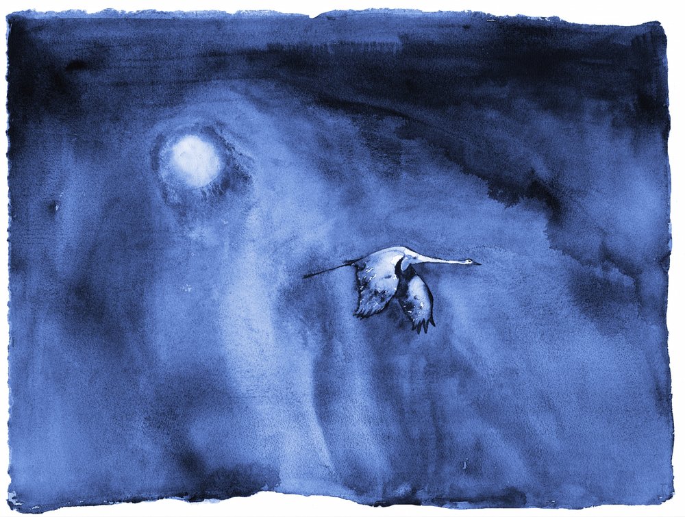 Migration en solo – Lumaprints - RodMacIver