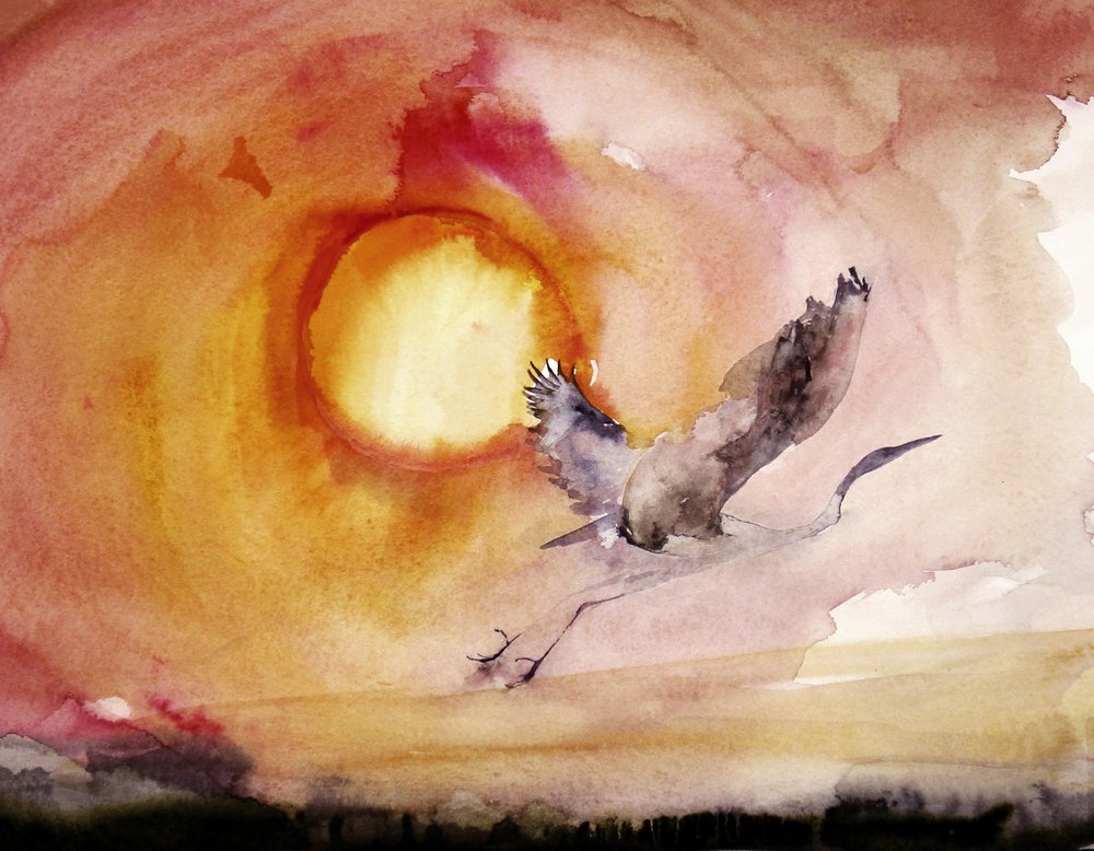 Coucher de soleil aux couleurs vives - RodMacIver