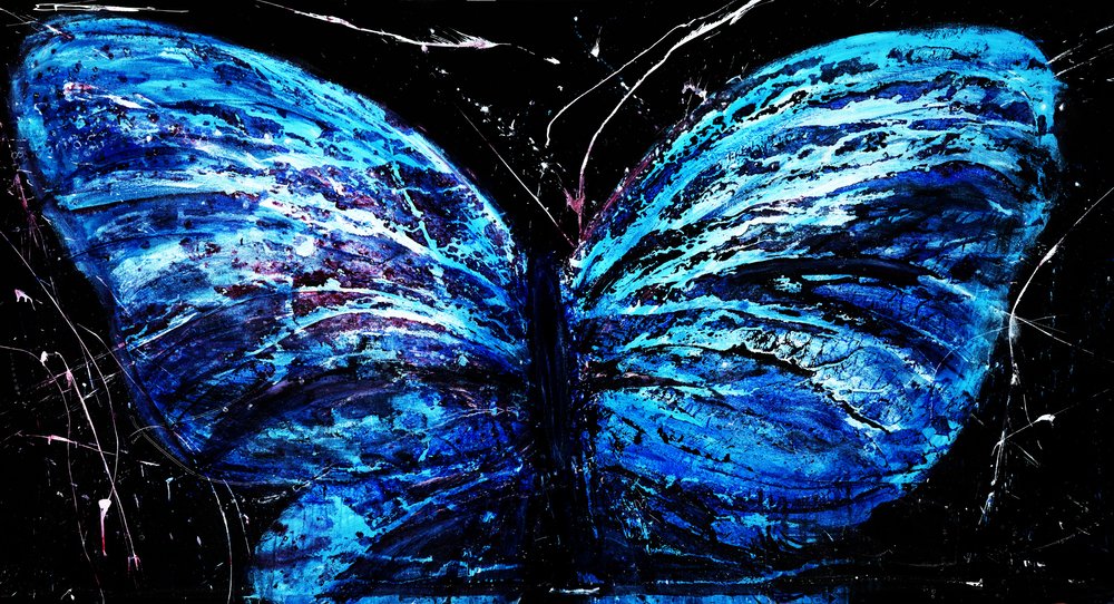 Papillon bleu éclatant - RodMacIver