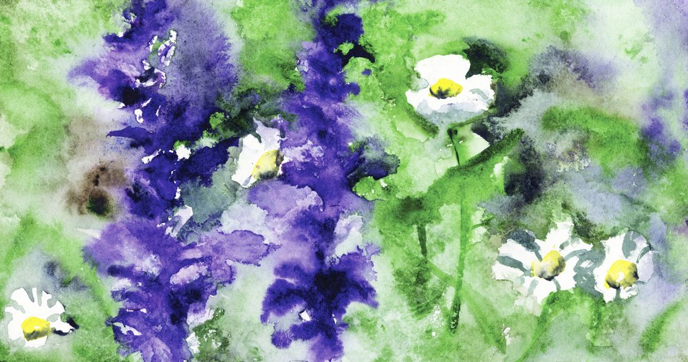 Fleurs de jardin aux couleurs éclatantes - RodMacIver