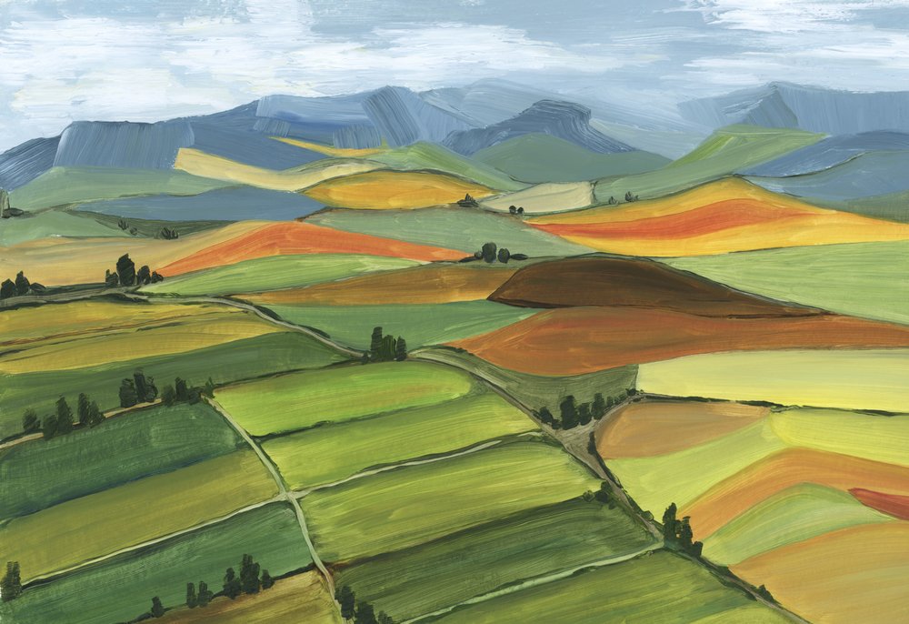Des champs vallonnés aux couleurs chatoyantes - Rosana Laiz Blursbyai