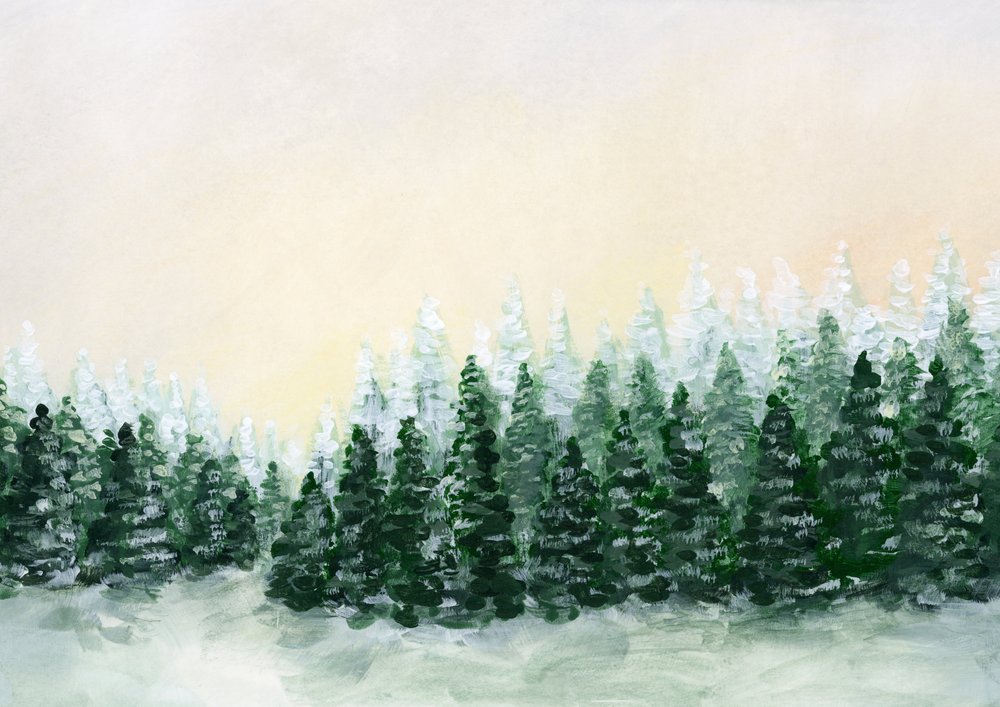 Forêt hivernale givrée - Rosana Laiz Blursbyai