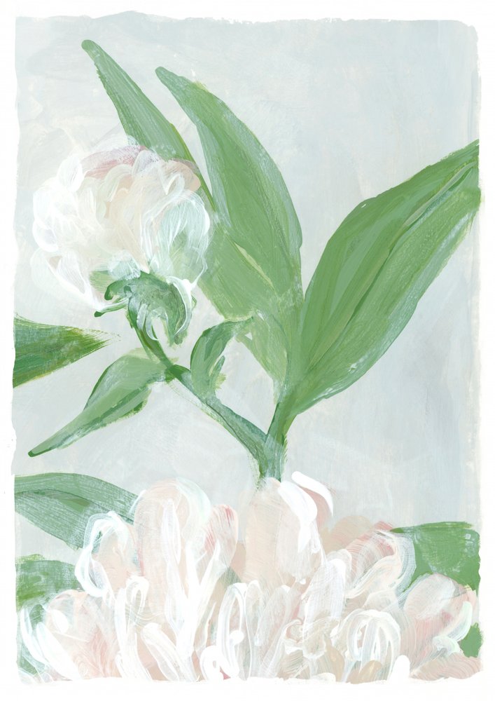 Fleurs de pivoine délicates - Rosana Laiz Blursbyai