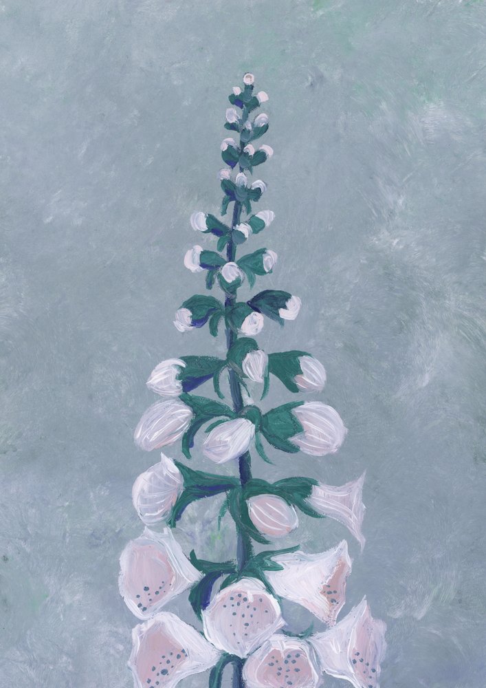 Fleur de digitale blanche - Rosana Laiz Blursbyai