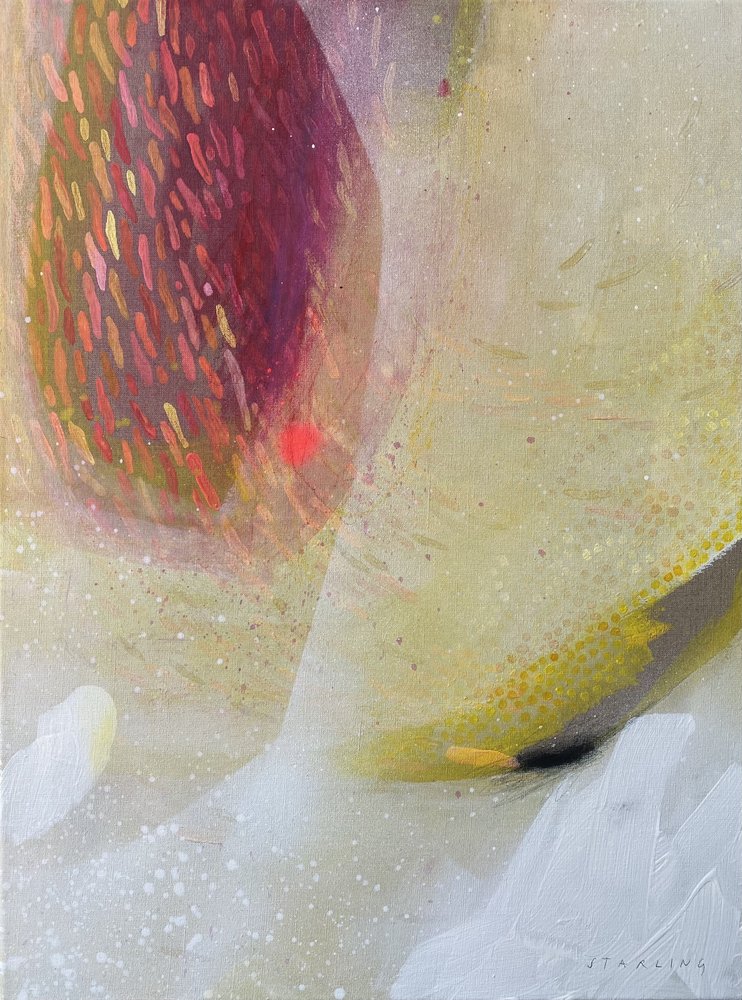 Un flux organique plein de vie - SAN STARLING