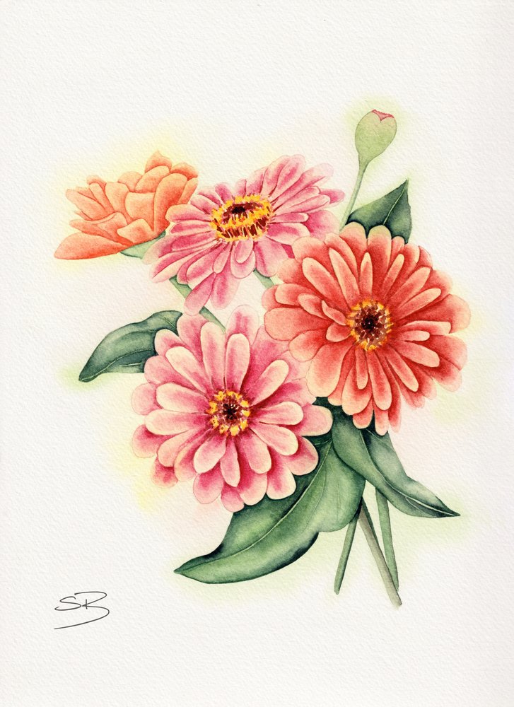 Bouquet de zinnias aux couleurs vives - Salome