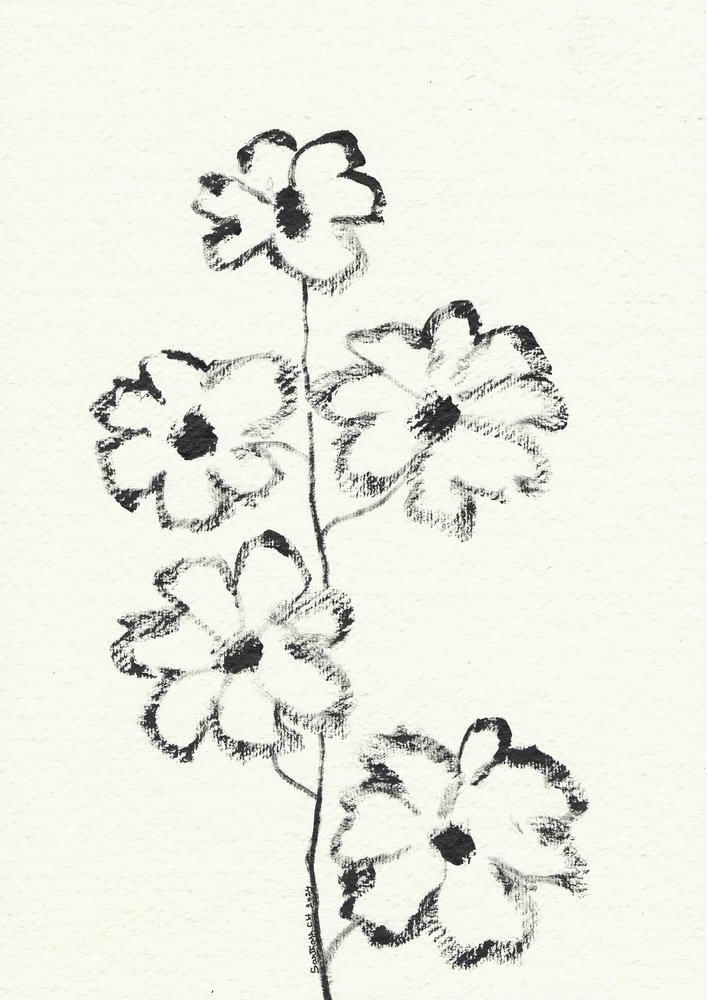 Croquis de fleur au fusain - Santhosh ch