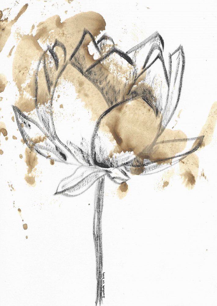 Fleur de lotus tachée de café - Santhosh ch
