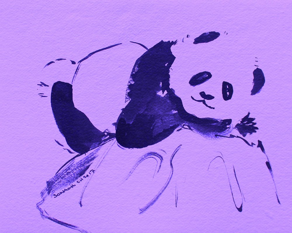 Mignon panda violet - Santhosh ch