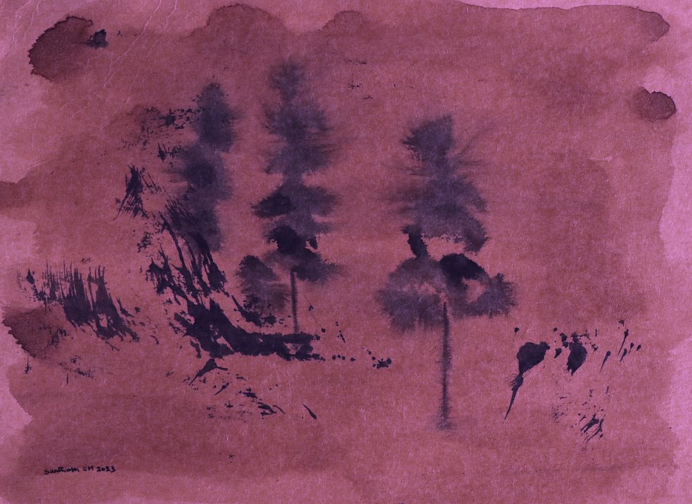 Sombre paysage forestier - Santhosh ch