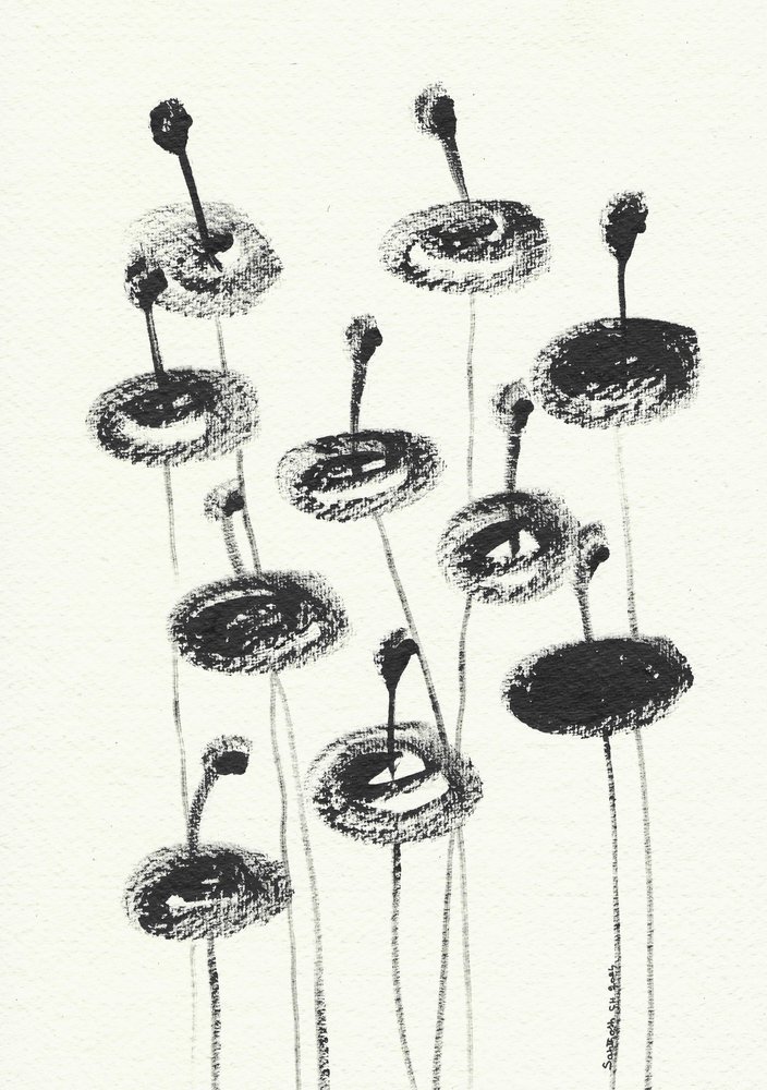 Délicates fleurs au fusain - Santhosh ch