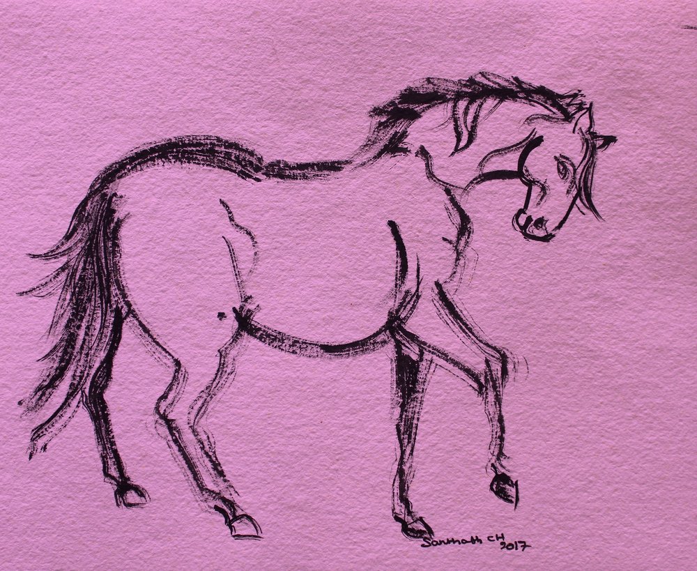 Contour dynamique de cheval - Santhosh ch