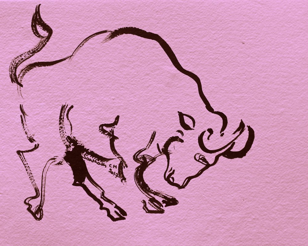 Taureau dynamique à l