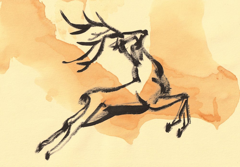 Cerf bondissant dynamique - Santhosh ch