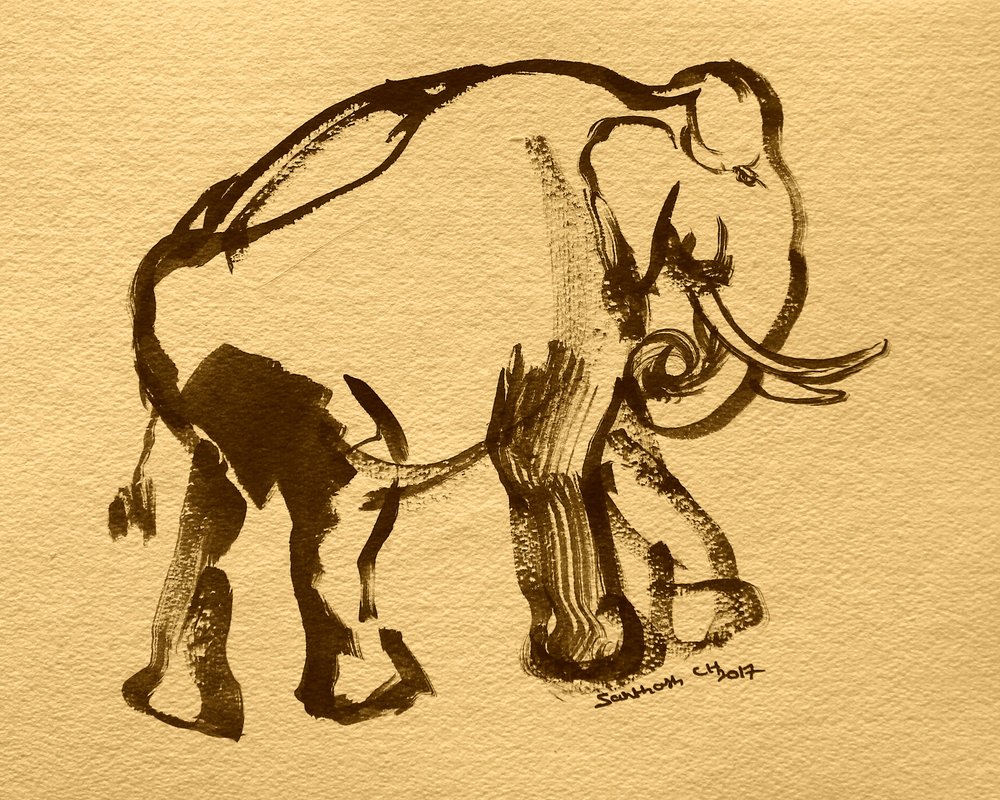 Élégant éléphant à l