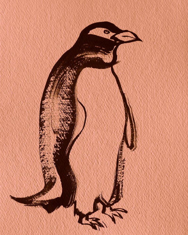 Élégant pingouin à l