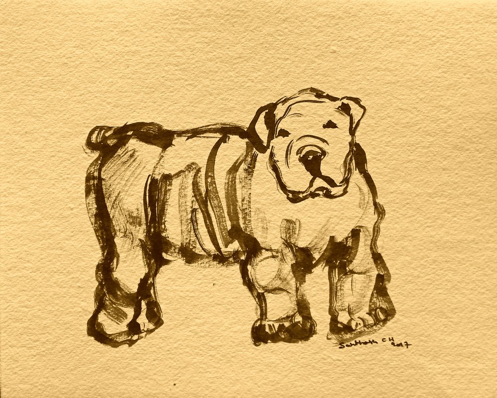 Esquisse expressive de bouledogue - Santhosh ch
