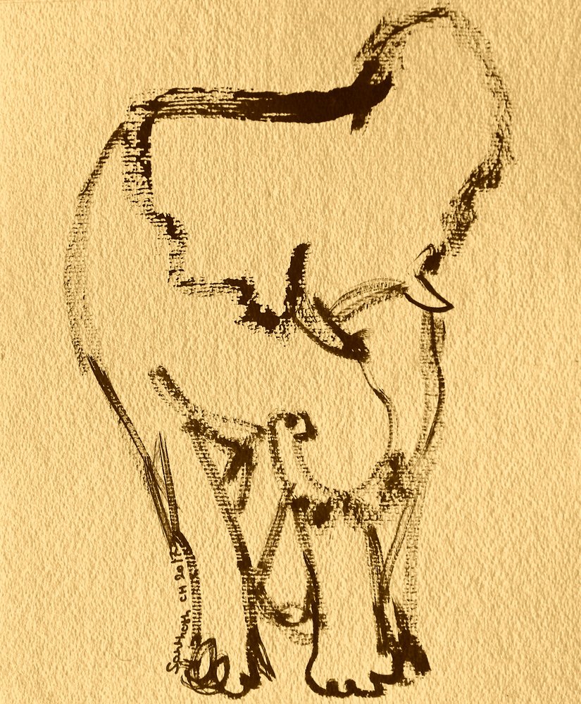 Dessin expressif d