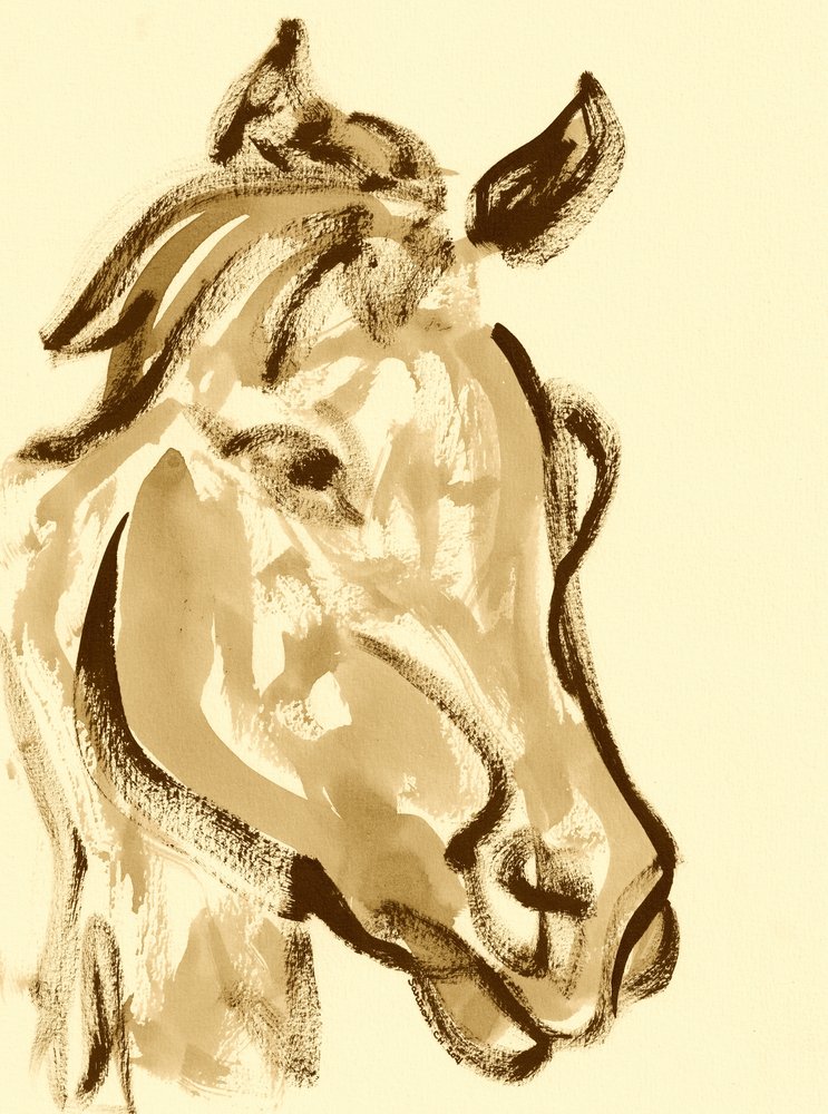 Tête de cheval expressive - Santhosh ch