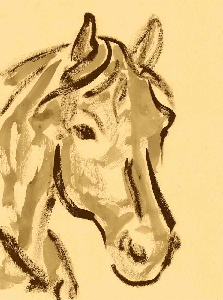 Portrait expressif de cheval - Santhosh ch