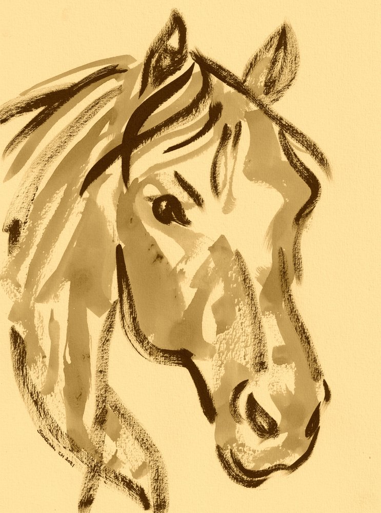Esquisse expressive de cheval - Santhosh ch