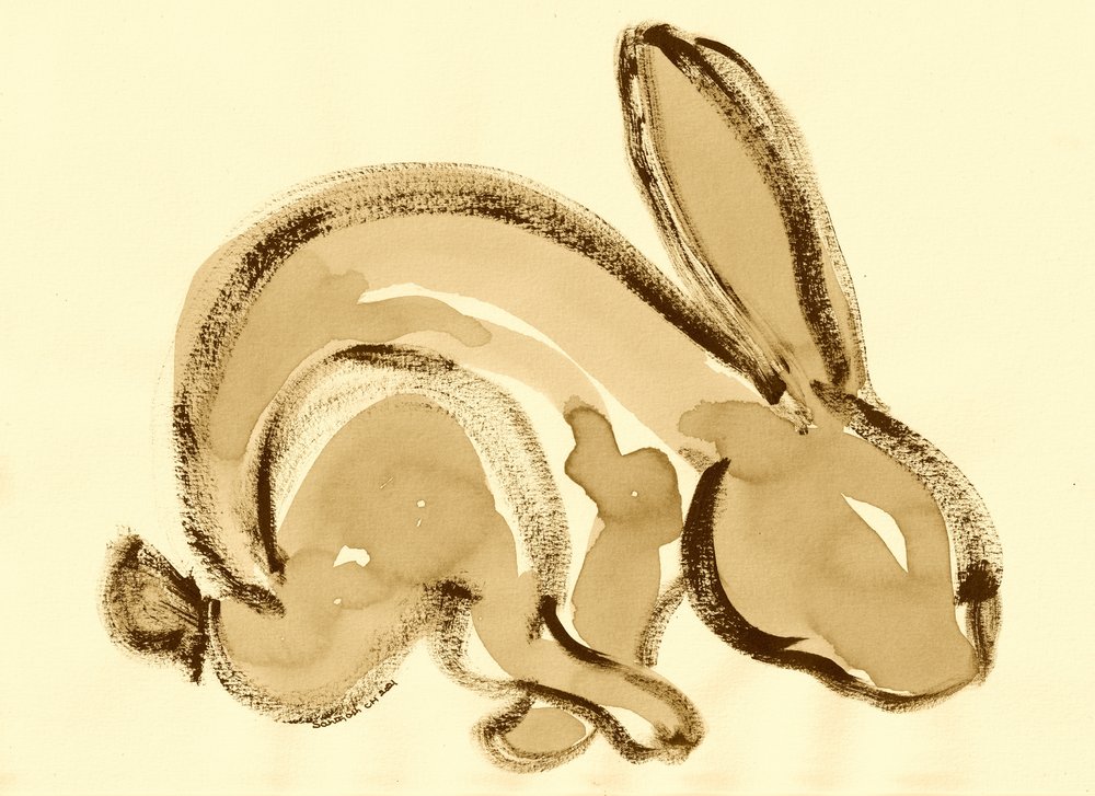 Lapin sépia expressif - Santhosh ch