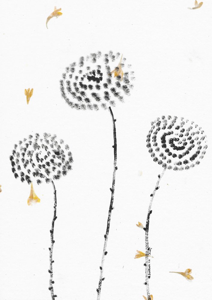 Floraison de pétales tombants - Santhosh ch